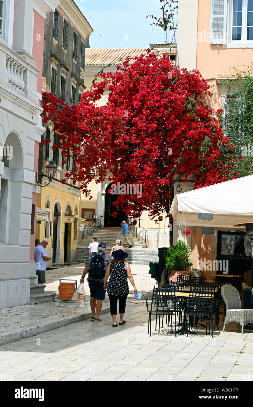 Buildings in Corfu Old Town (Kerkyra) Greece Stock Photo