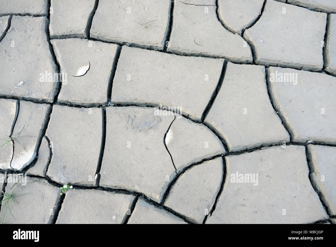 the global climate change is a threat to the world. debris of dehydrated soils form interesting shapes Stock Photo