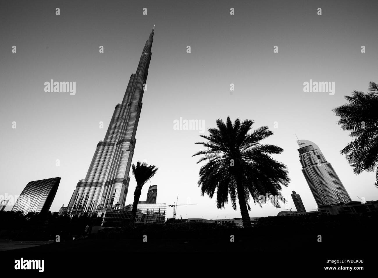 Burj Khalifa and palms in the city of Dubai in black and white Stock Photo
