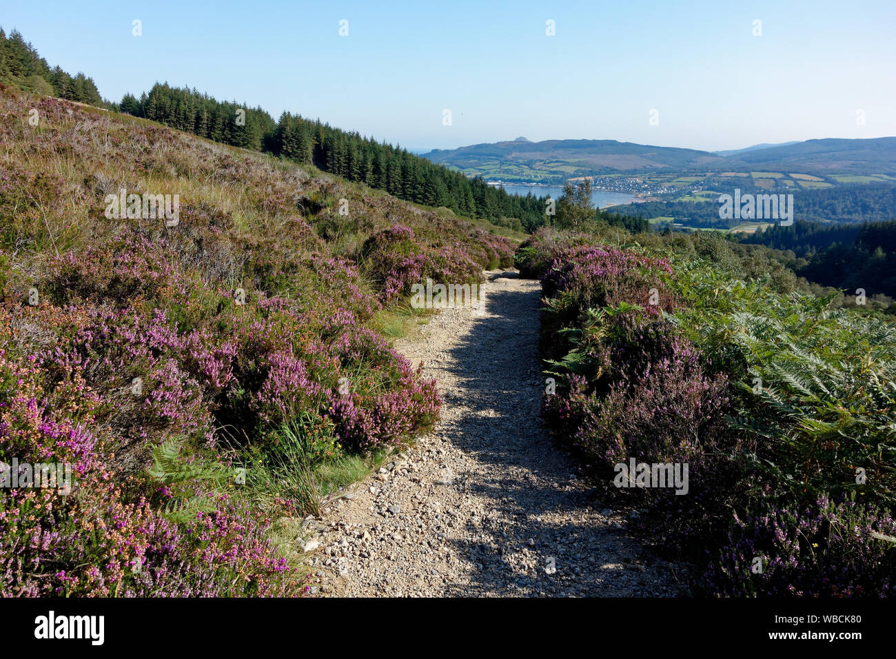 The path to Goatfell Mountain, Isle of Arran, Scotland, United Kingdom Stock Photo