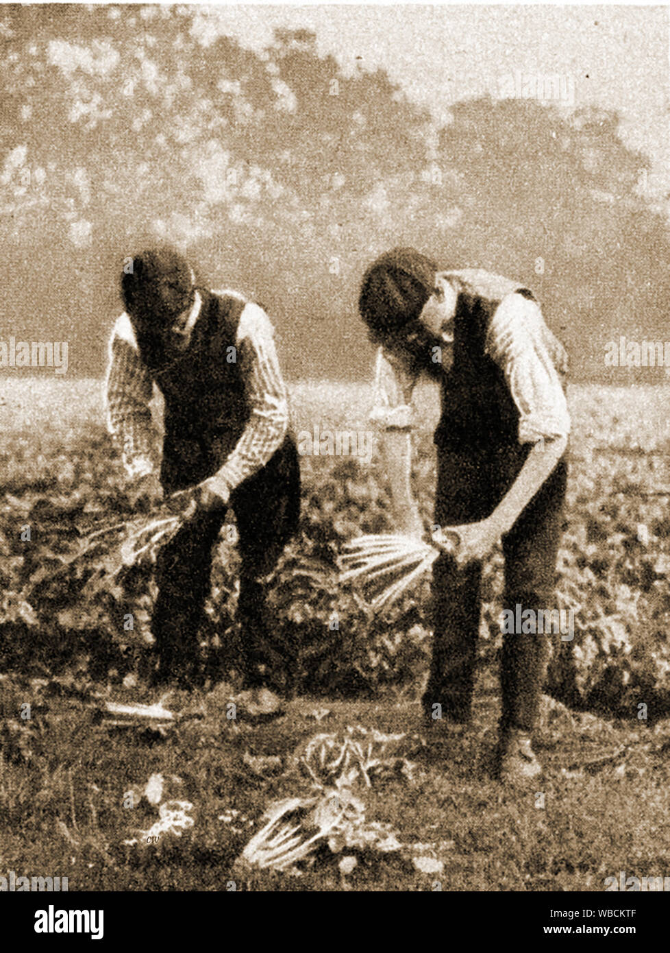 Britain 1920s hi-res stock photography and images - Alamy
