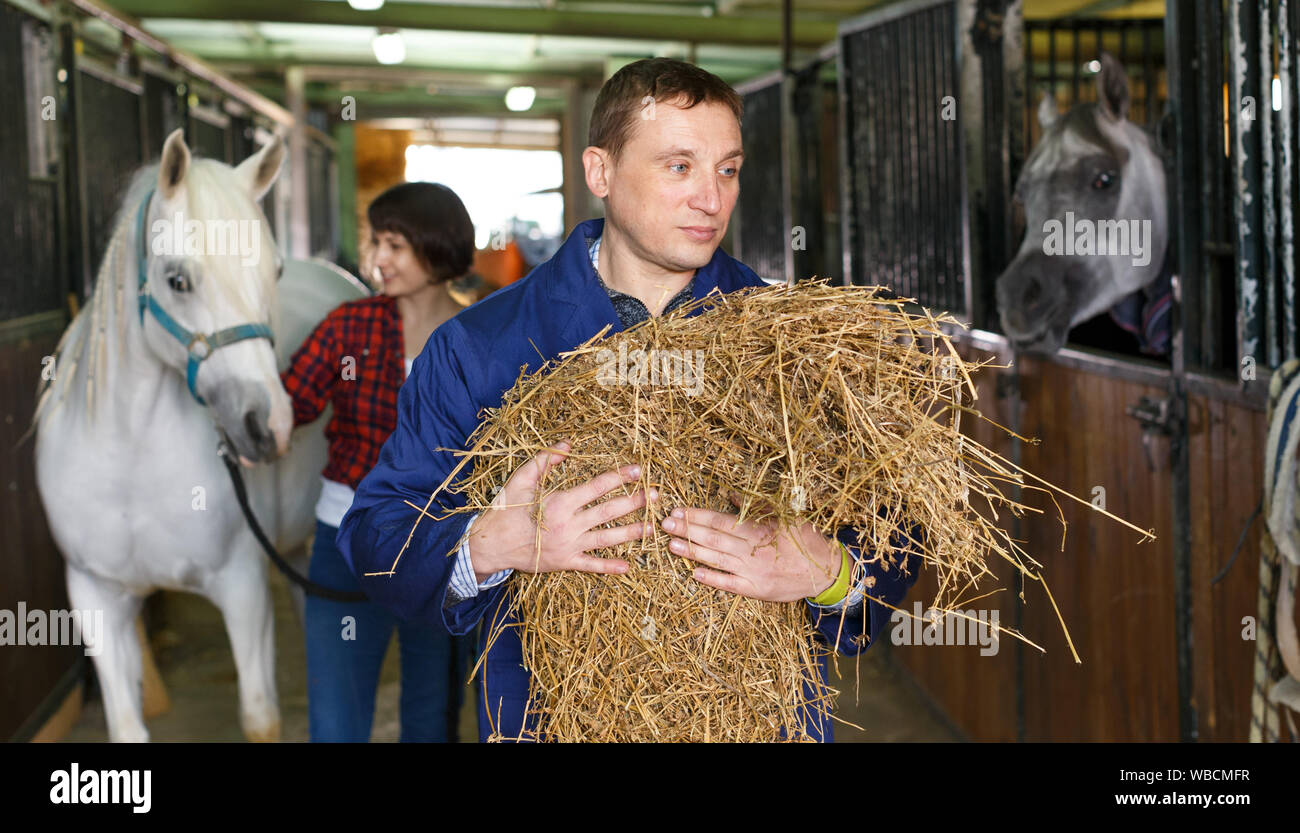 Positive male horse farm worker feeding horse with hay at stable Stock