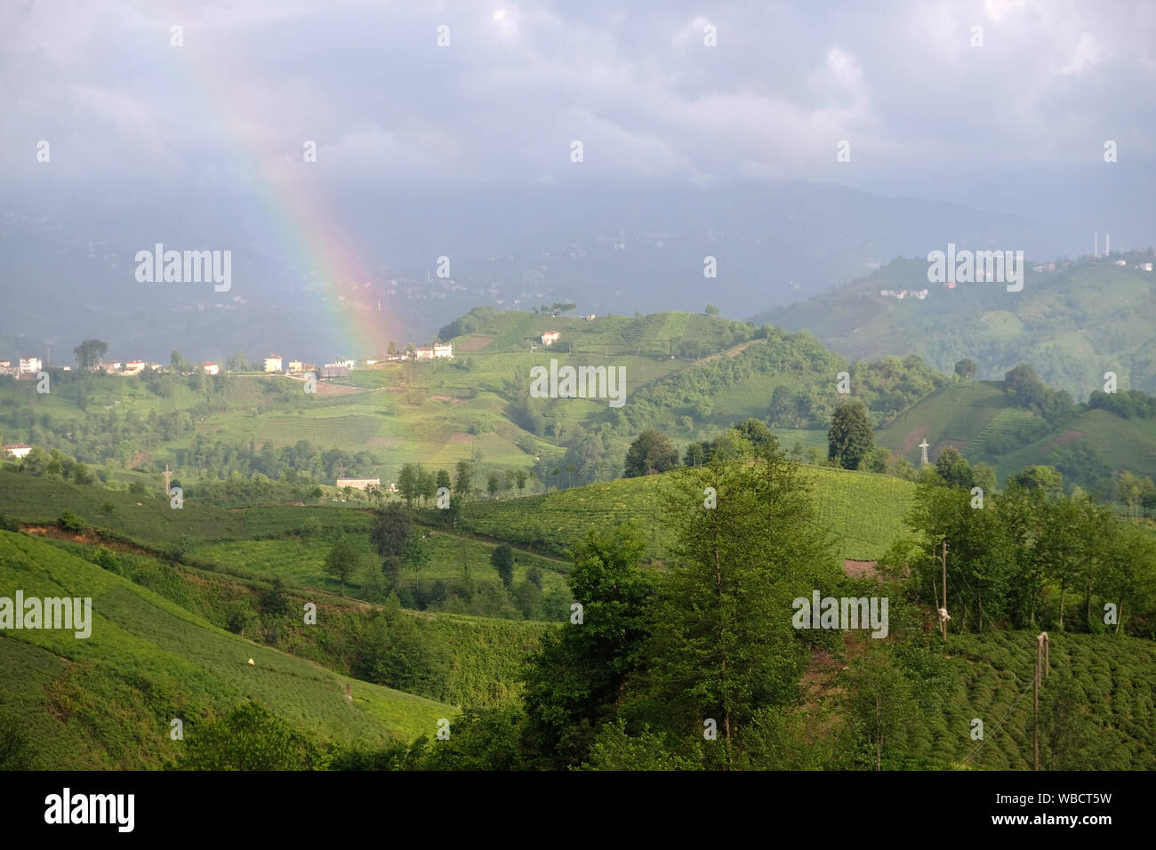 tea plant fields, village and rainbow in iyidere rize turkey Stock Photo