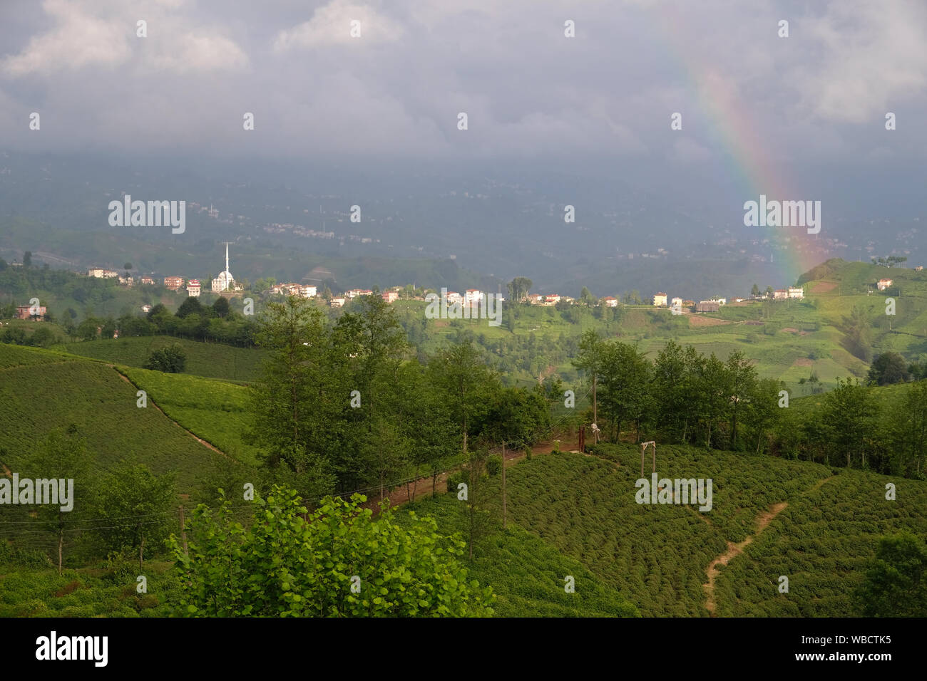 tea plant fields, village and rainbow in iyidere rize turkey Stock Photo