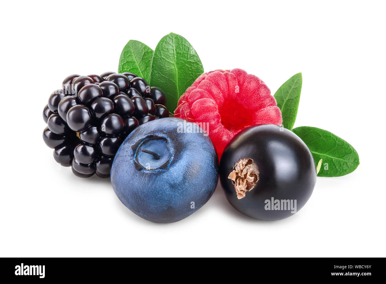 mix of blackberry blueberry raspberry black currant with leaf isolated ...