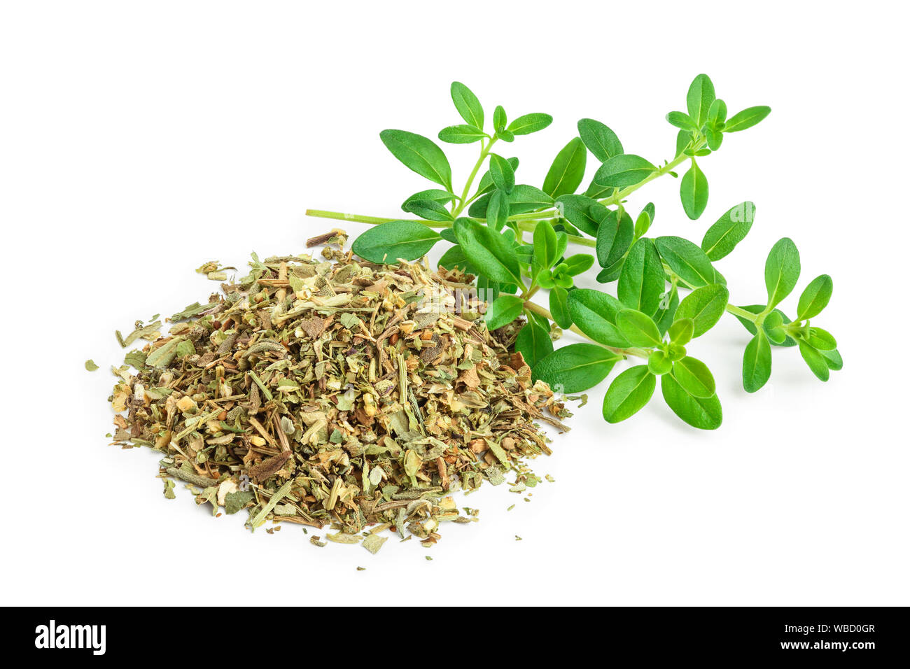 Green thyme with dried thyme leaves isolated on white background close