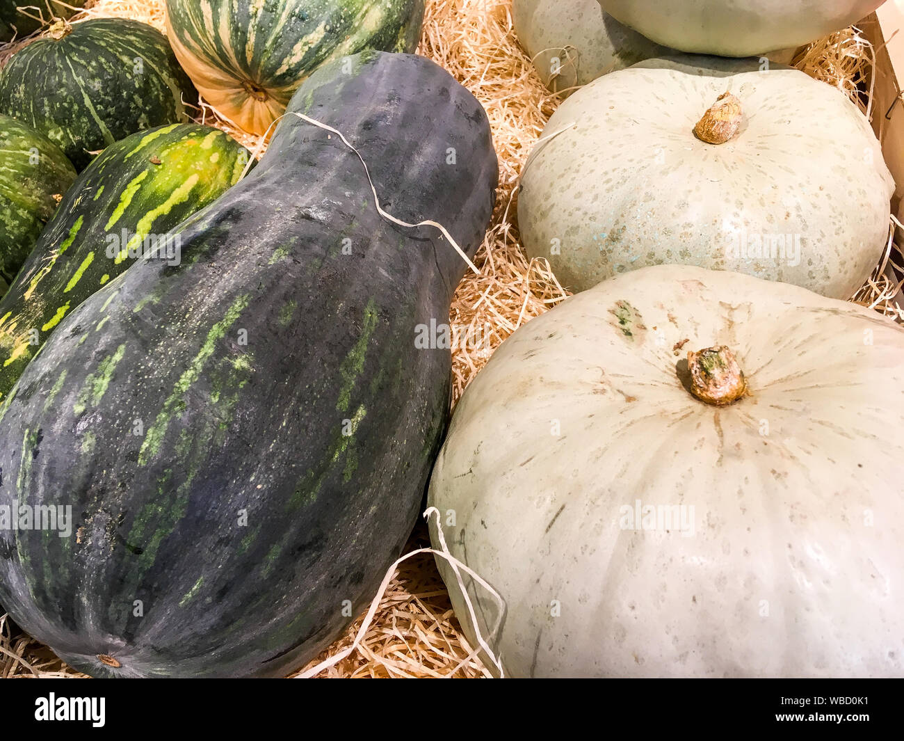 Squashes, Lyon, France Stock Photo Alamy
