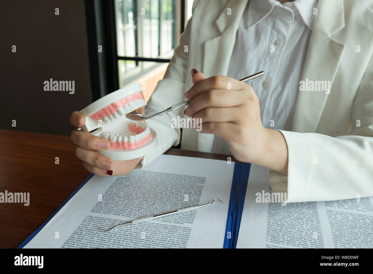 The dentist has shown the use of dental tools with samples tooth model