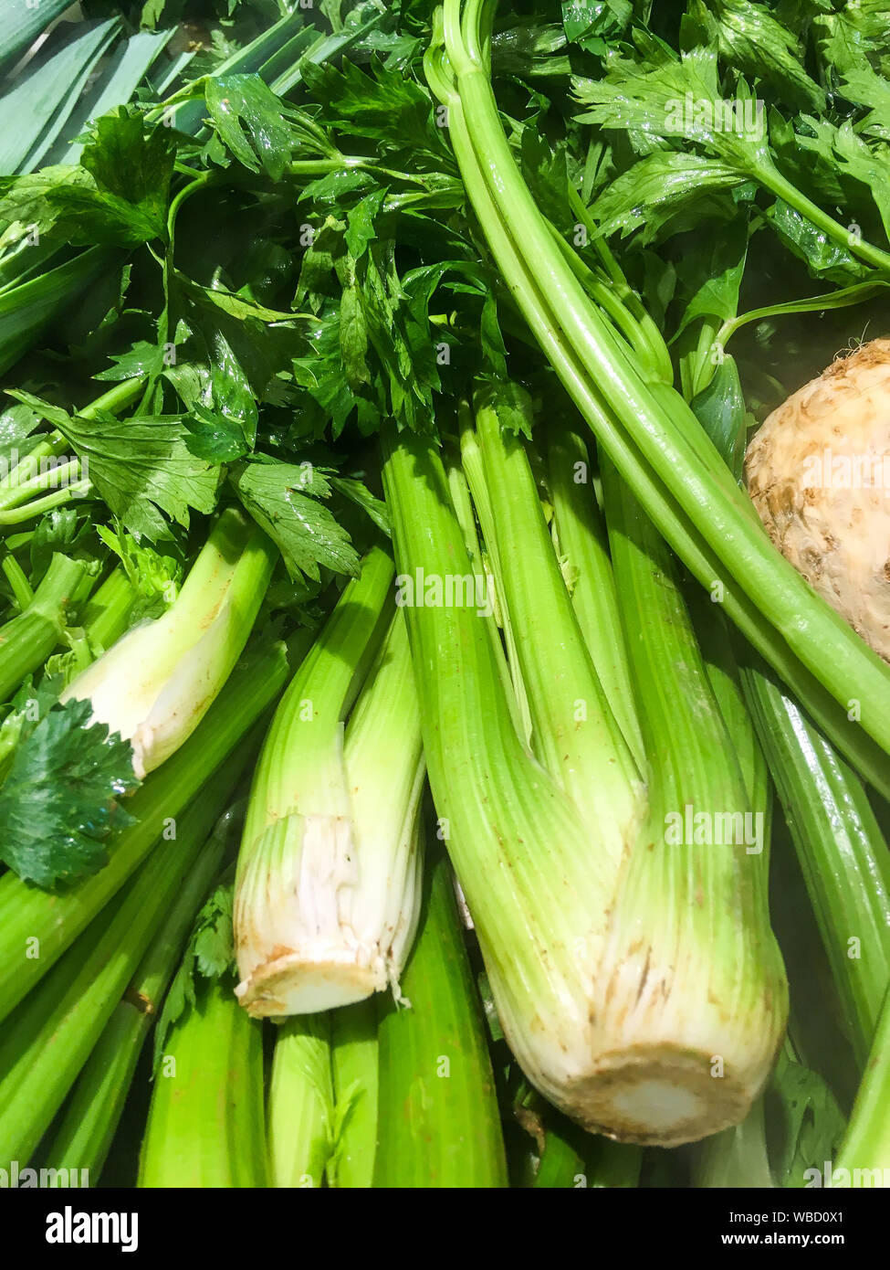 Celery Meaning In Urdu