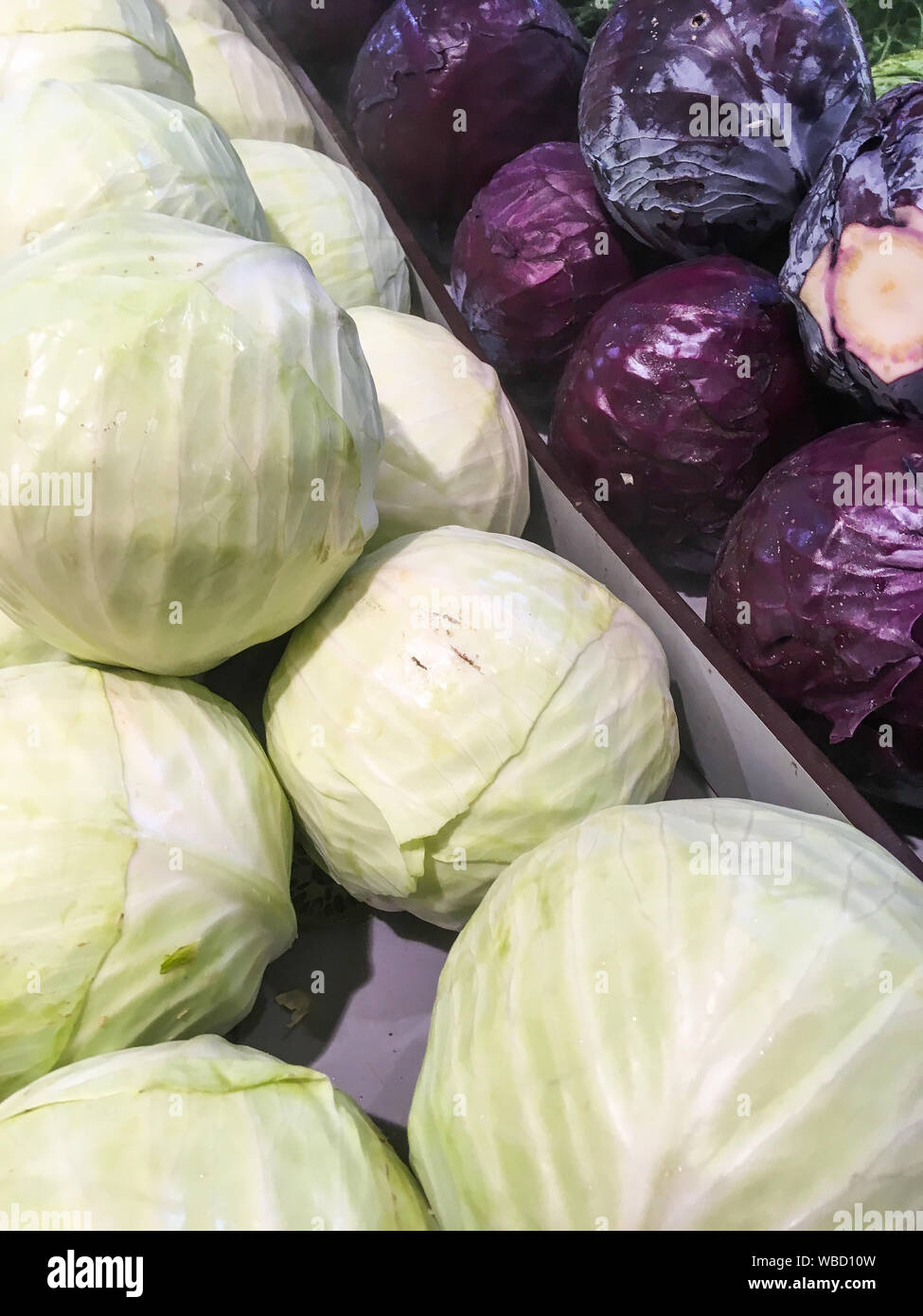 White and red cabbages, Lyon, Rhone, France Stock Photo Alamy