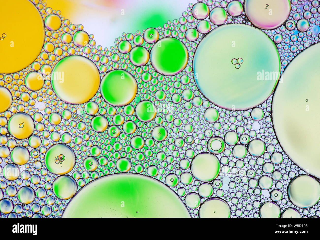 Multi-coloured bubble patterns formed by oil floating on water Stock ...