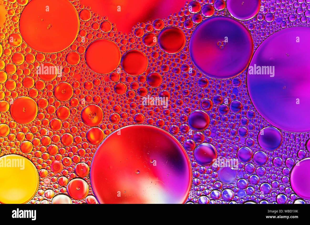 Multi-coloured bubble patterns formed by oil floating on water Stock ...