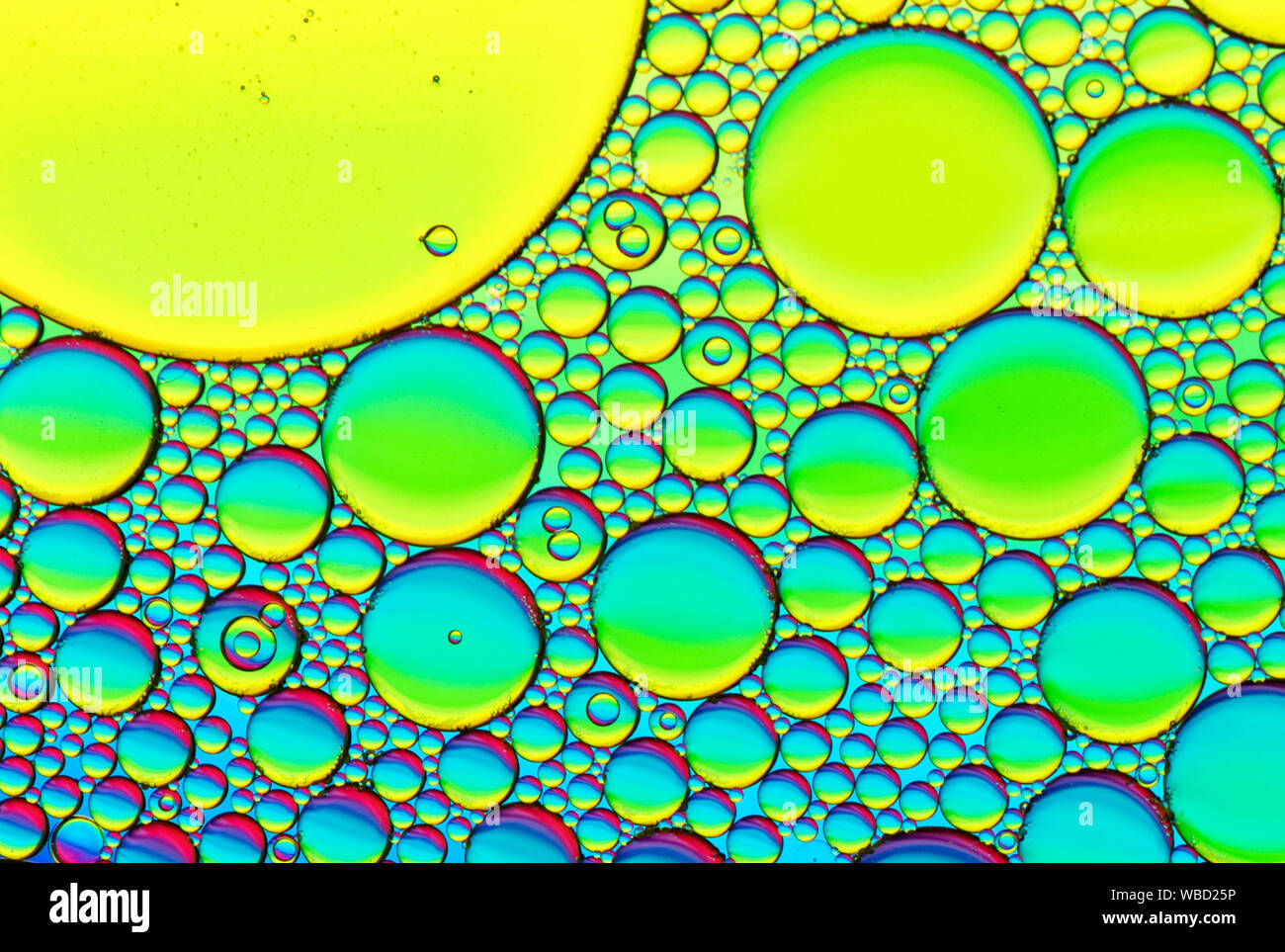 Multi-coloured bubble patterns formed by oil floating on water Stock ...
