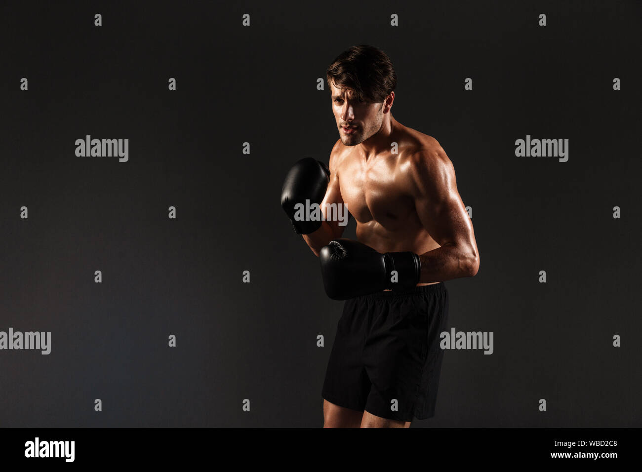 Photo of a concentrated handsome young strong sportsman boxer in gloves ...