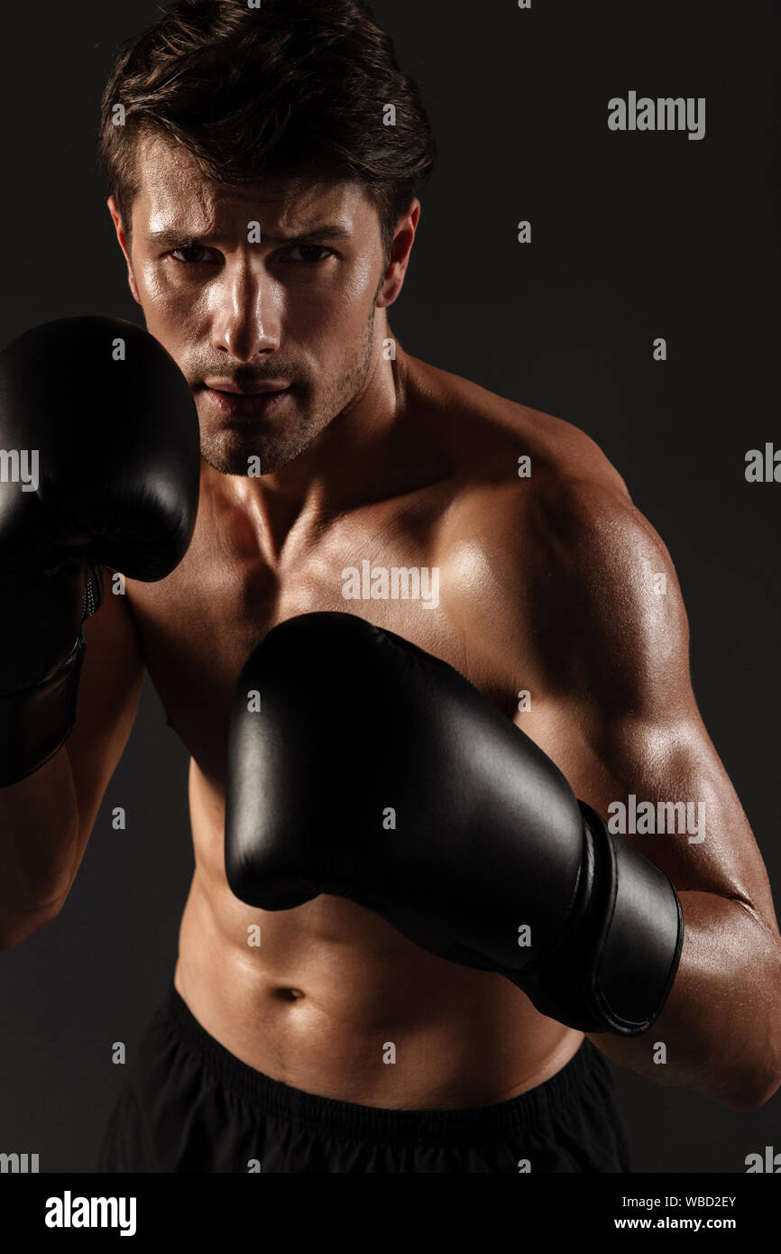 Image of a serious handsome young sportsman boxer in gloves make