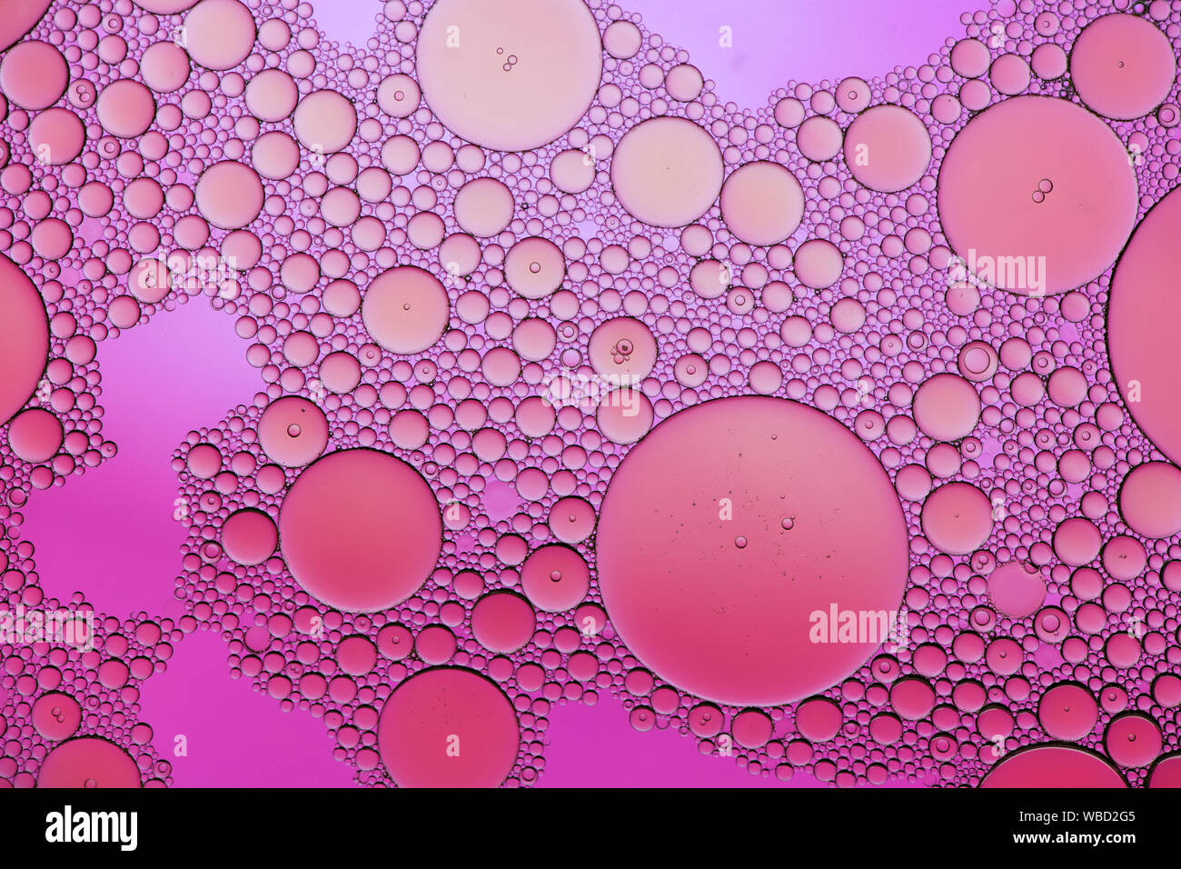 Multi-coloured bubble patterns formed by oil floating on water Stock ...