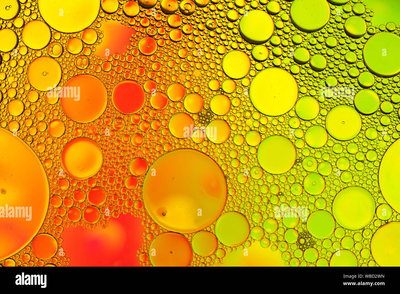 Multi-coloured bubble patterns formed by oil floating on water Stock ...