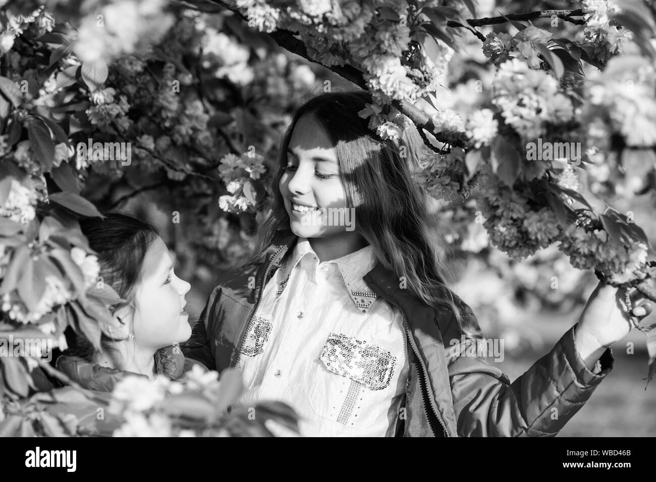 summer. Childhood beauty. Family day. happy sisters in cherry flower