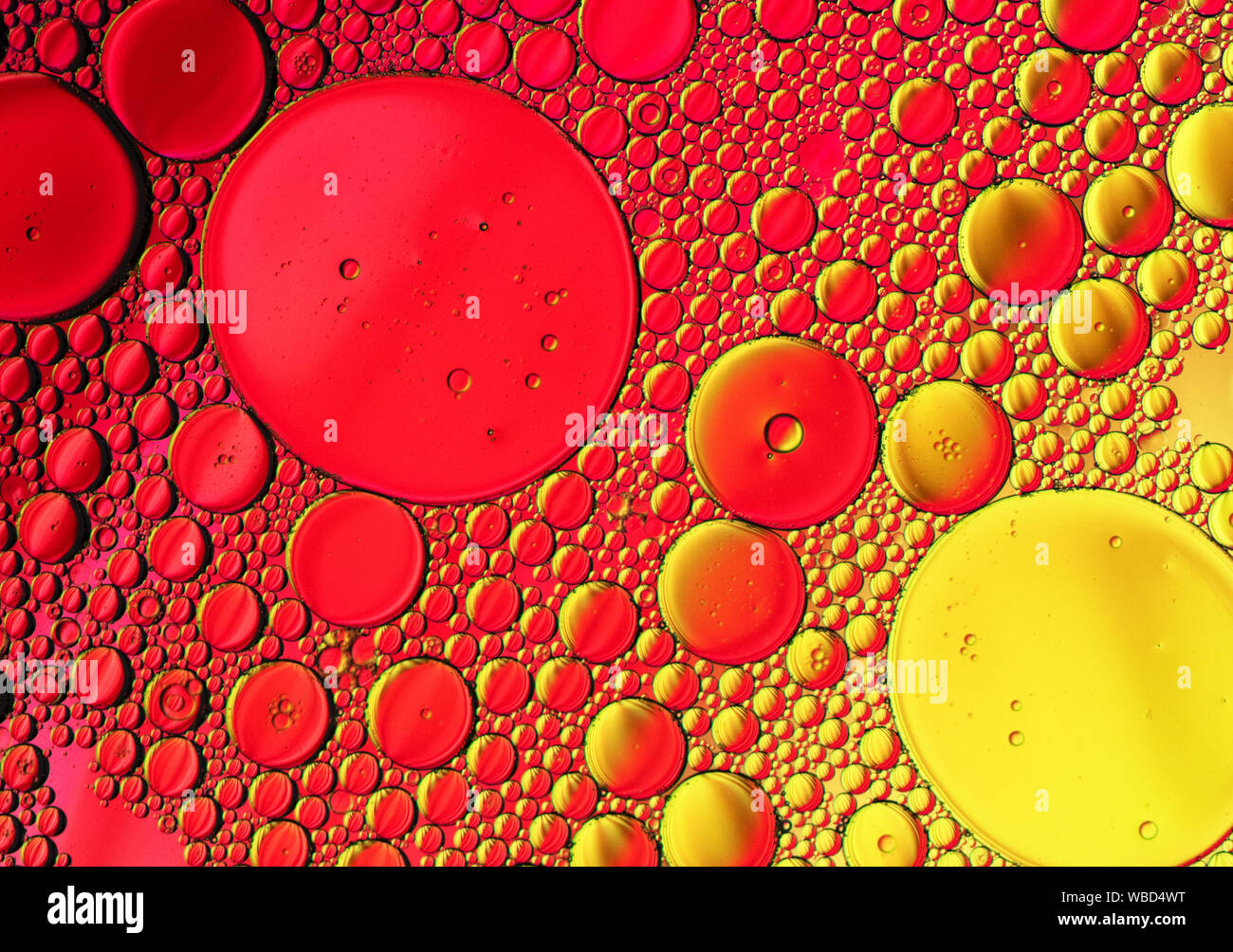 Multi-coloured bubble patterns formed by oil floating on water Stock ...