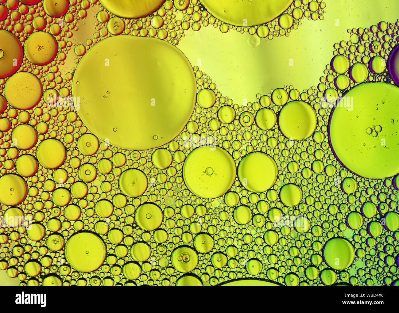 Multi-coloured bubble patterns formed by oil floating on water Stock ...