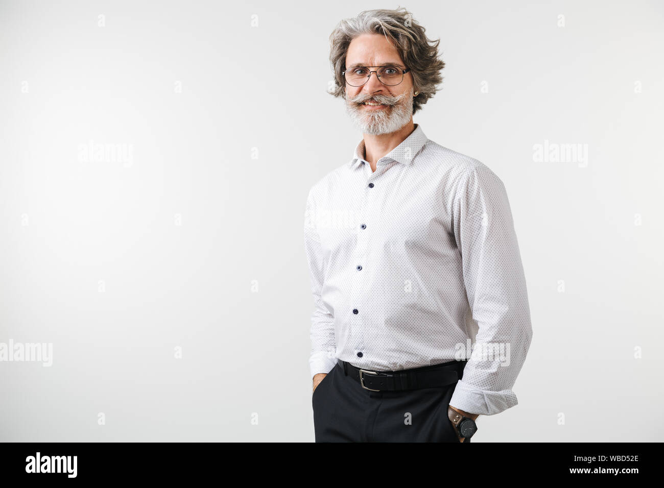 Portrait of a handsome mature businessman dressed in formal wear ...