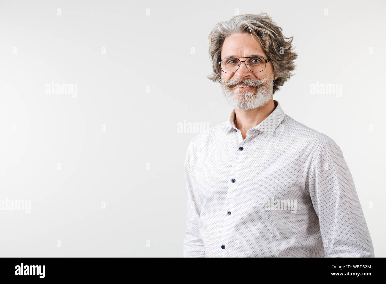 Portrait of a handsome mature businessman dressed in formal wear ...