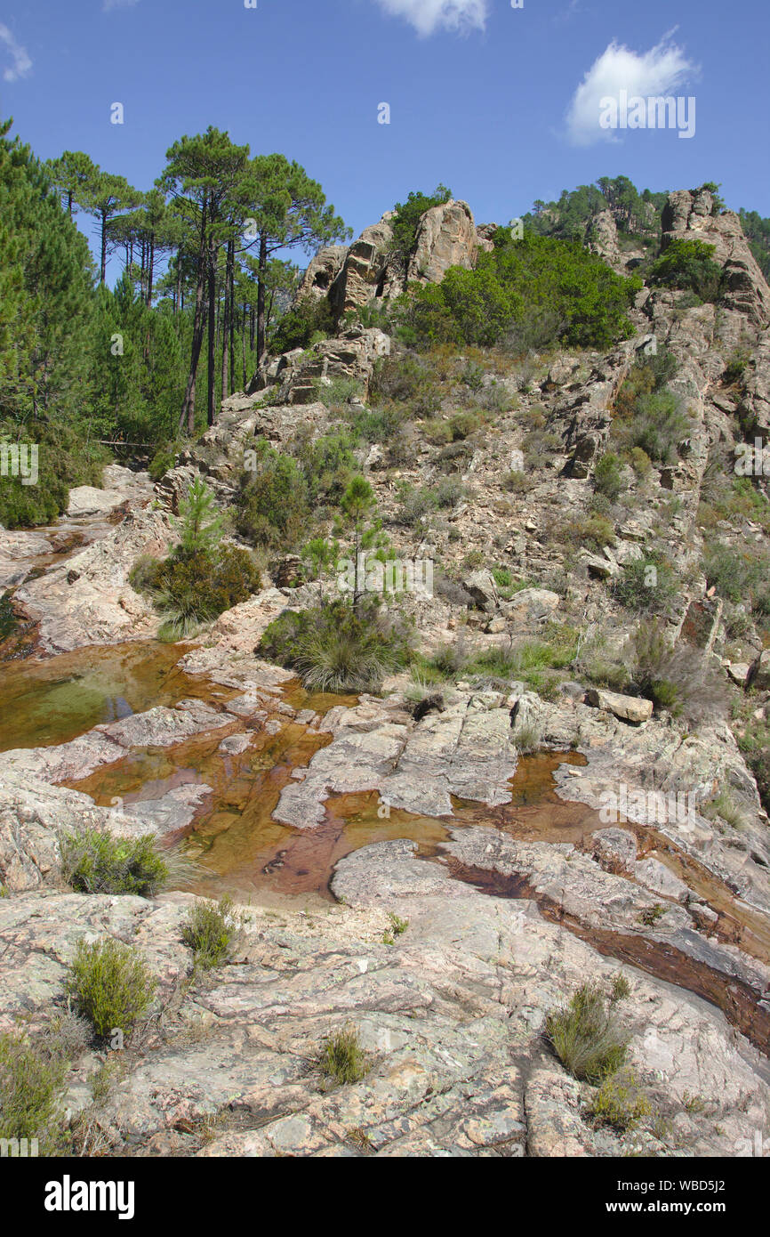 Little stream near Conca, France, Corsica, GR20 Stock Photo