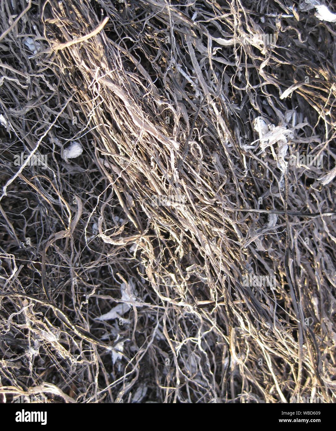 Background from the ashes of the burnt grass. Plant ash on the field