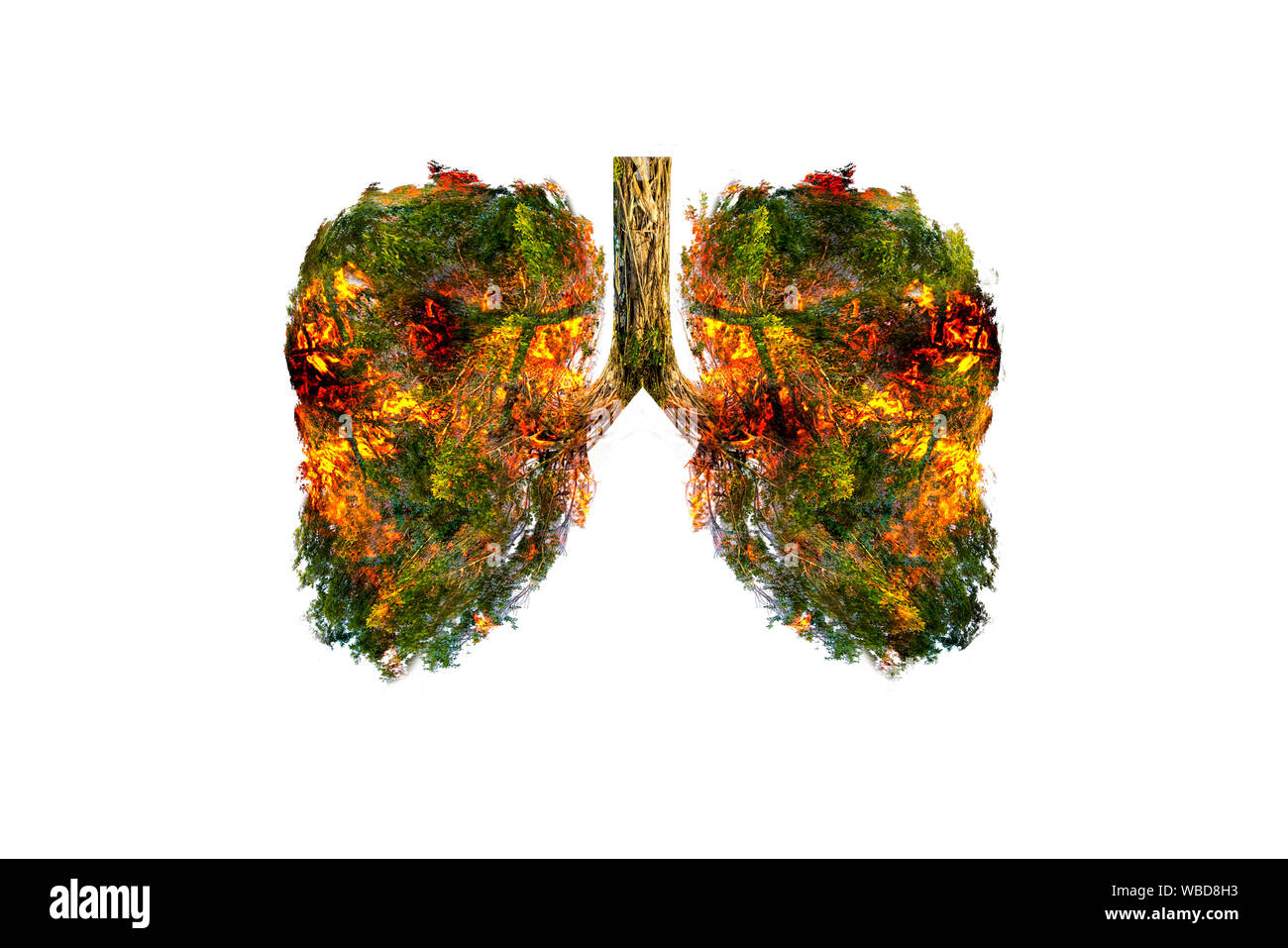 Lung green tree-shaped images, medical concepts, autopsy, 3D display and animals as an element Stock Photo