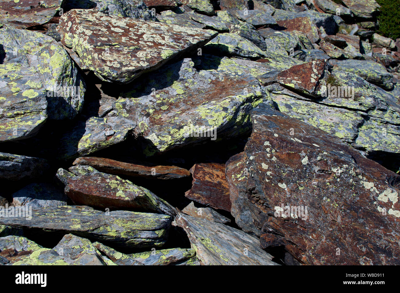 Loose shale rock with lichens in the Catalan Pyrenees Stock Photo