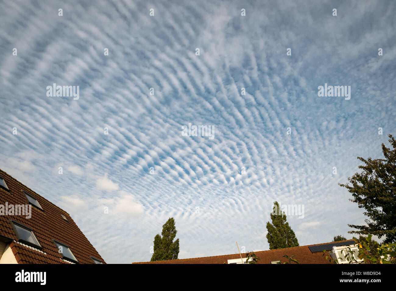 Ripples and waves in the sky. Altocumulus undulatus clouds. Stock Photo