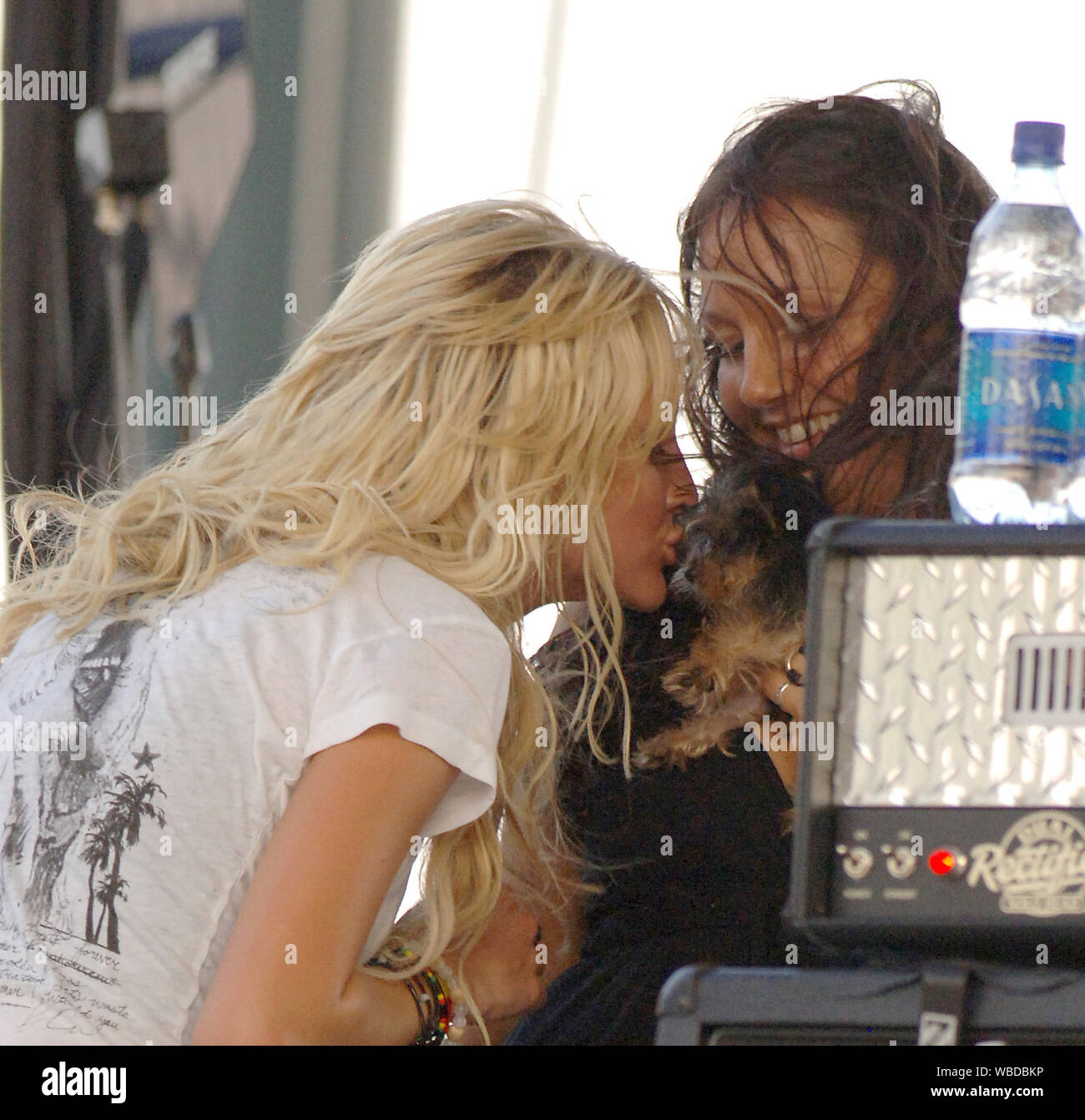 WEST PALM BEACH, FL - MAY 06, 2006:  Ashlee Simpson with her new dog Hula rocks SunFest 2006. With her new dog, new blonde extensions, along with a  brand new nose (Early on April 21, a source says, Ashlee, 21, arrived at the office of famed Beverly Hills plastic surgeon Dr. Raj Kanodia with her parents, Joe and Tina, for a nose job) It seems younger sis Ashlee's recent nose job makes her look more like her big sis, Jessica. It's the latest move in a makeover that's seen Ashlee go from dark-haired, ratty rocker to sophisticated blonde. Apparently not everyone is happy with Ashlee's new look. I Stock Photo