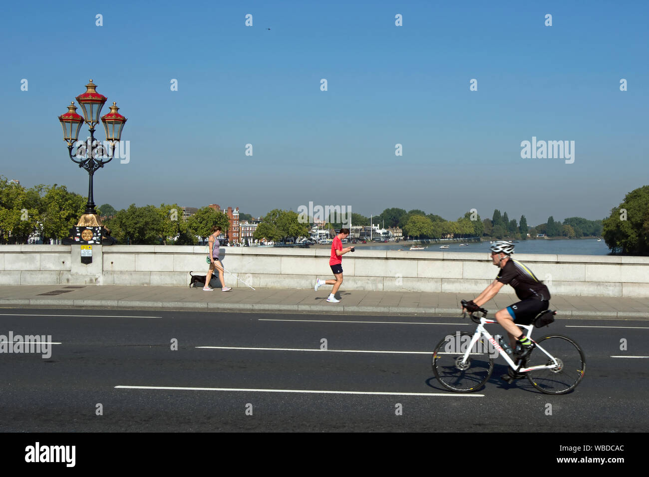 male cyclist crossing putney bridge, london, england, with a male