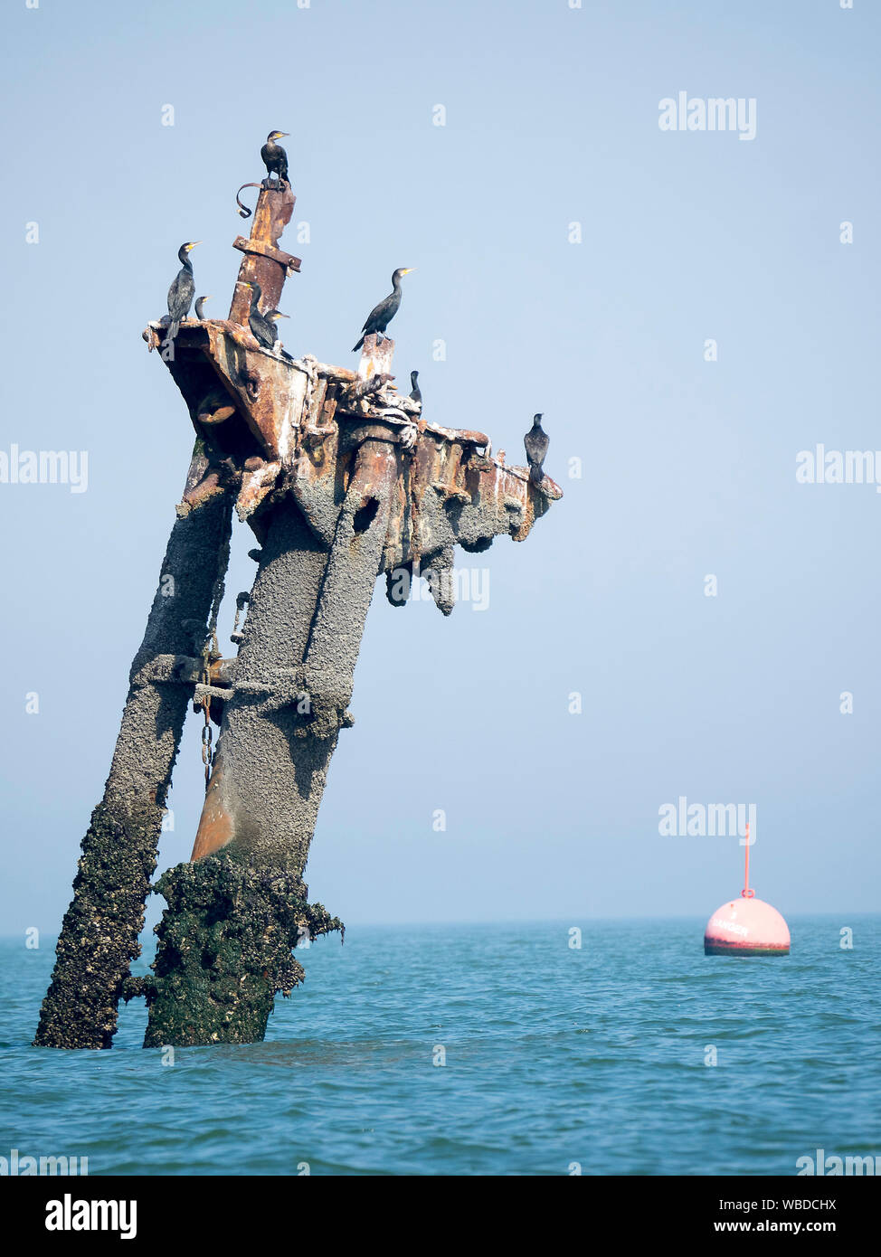 Ss Richard Montgomery Wreck High Resolution Stock Photography And ss-richard-montgomery-wreck-high-resolution-stock-photography-and