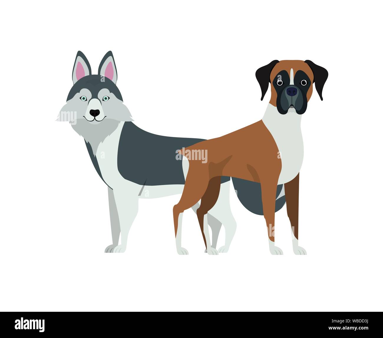 cute and adorable dogs on white background Stock Vector Image & Art - Alamy