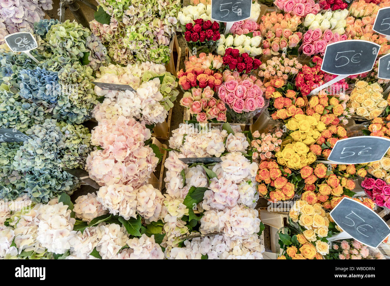 flower market in Aix en Provence, france Stock Photo