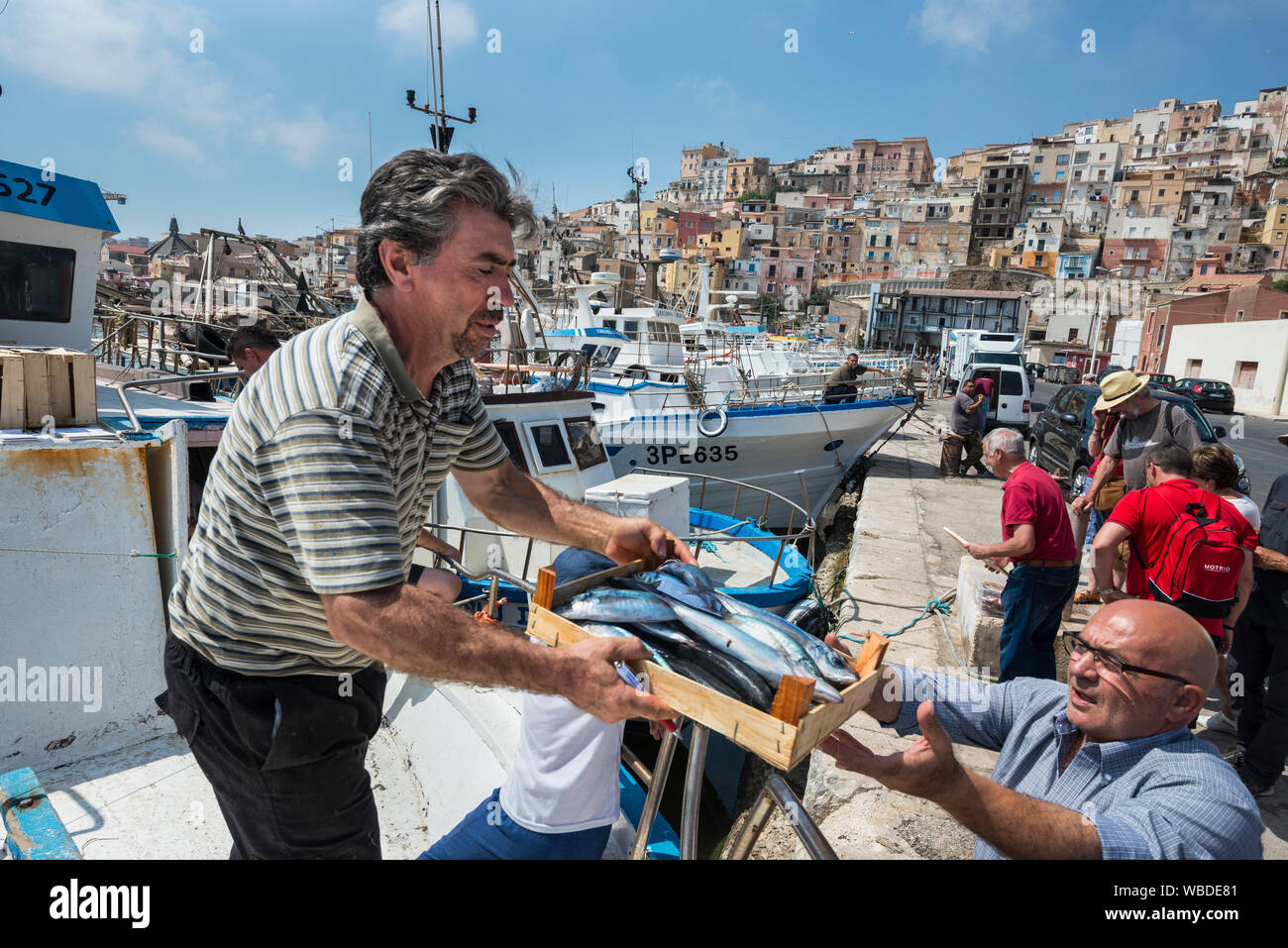 Fish being unloaded from a fishing boat in the fishing port of Sciacca in Southerm Sicily, Italy. Stock Photo