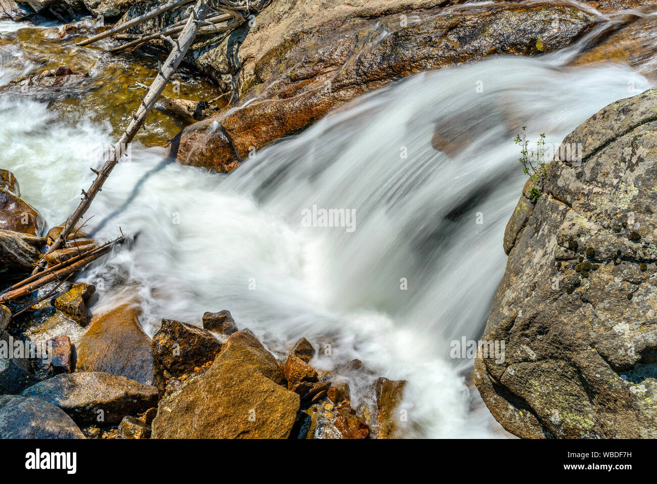 Summer Creek - Rapid streams running down between mountain rocks. Fall River, Rocky Mountain National Park, CO, USA. Stock Photo