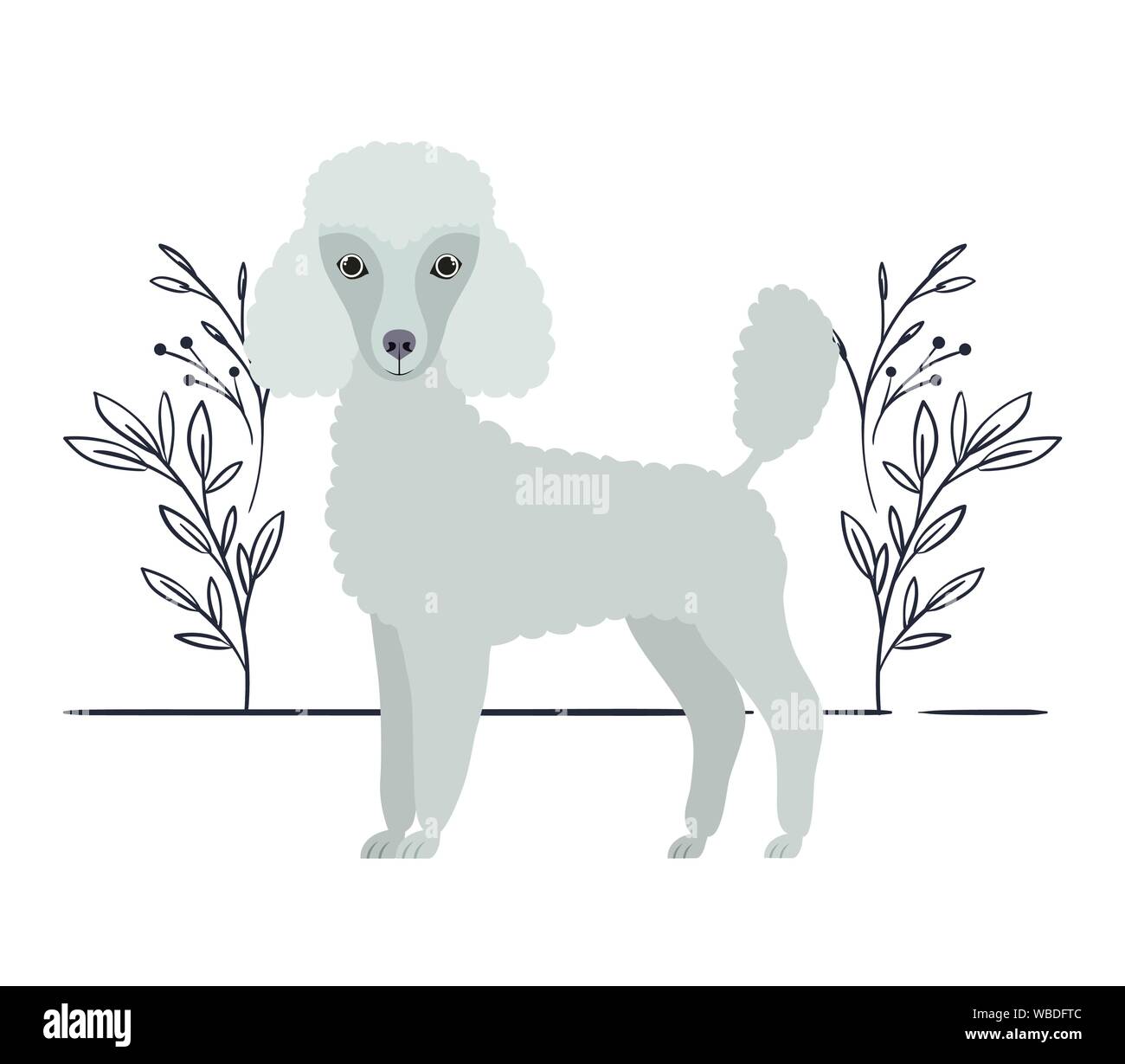 cute poodle dog on white background Stock Vector Image & Art - Alamy