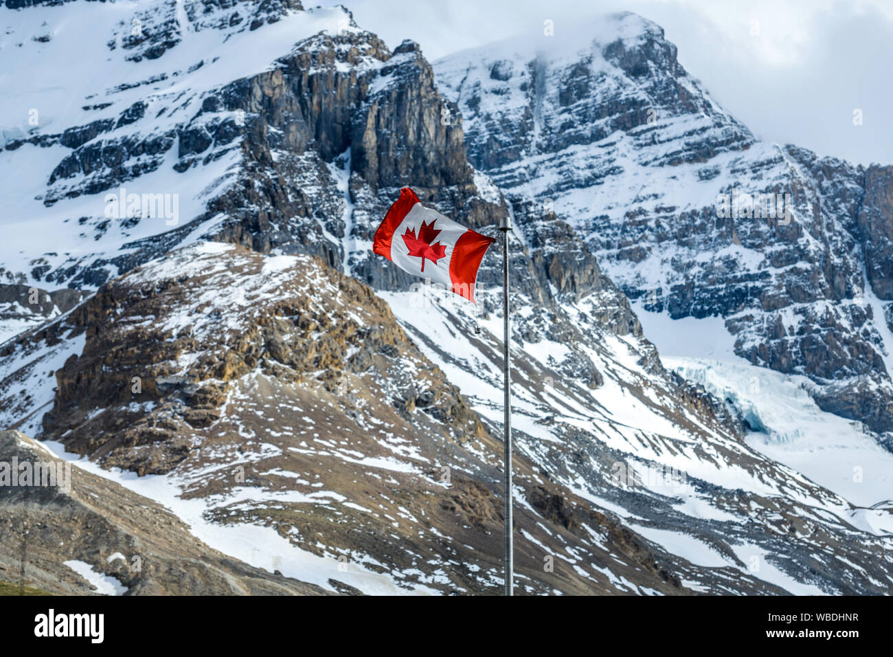 Flag Flying at front of Mt. Andromeda - A Canadian National Flag flying at front of snow-covered Mt. Andromeda and Mt. Athabasca, Jasper National Park. Stock Photo