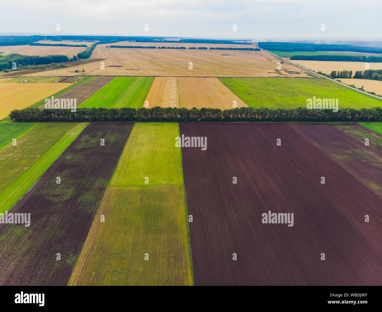Top view aerial shot of green field with grass and trees Stock Photo ...
