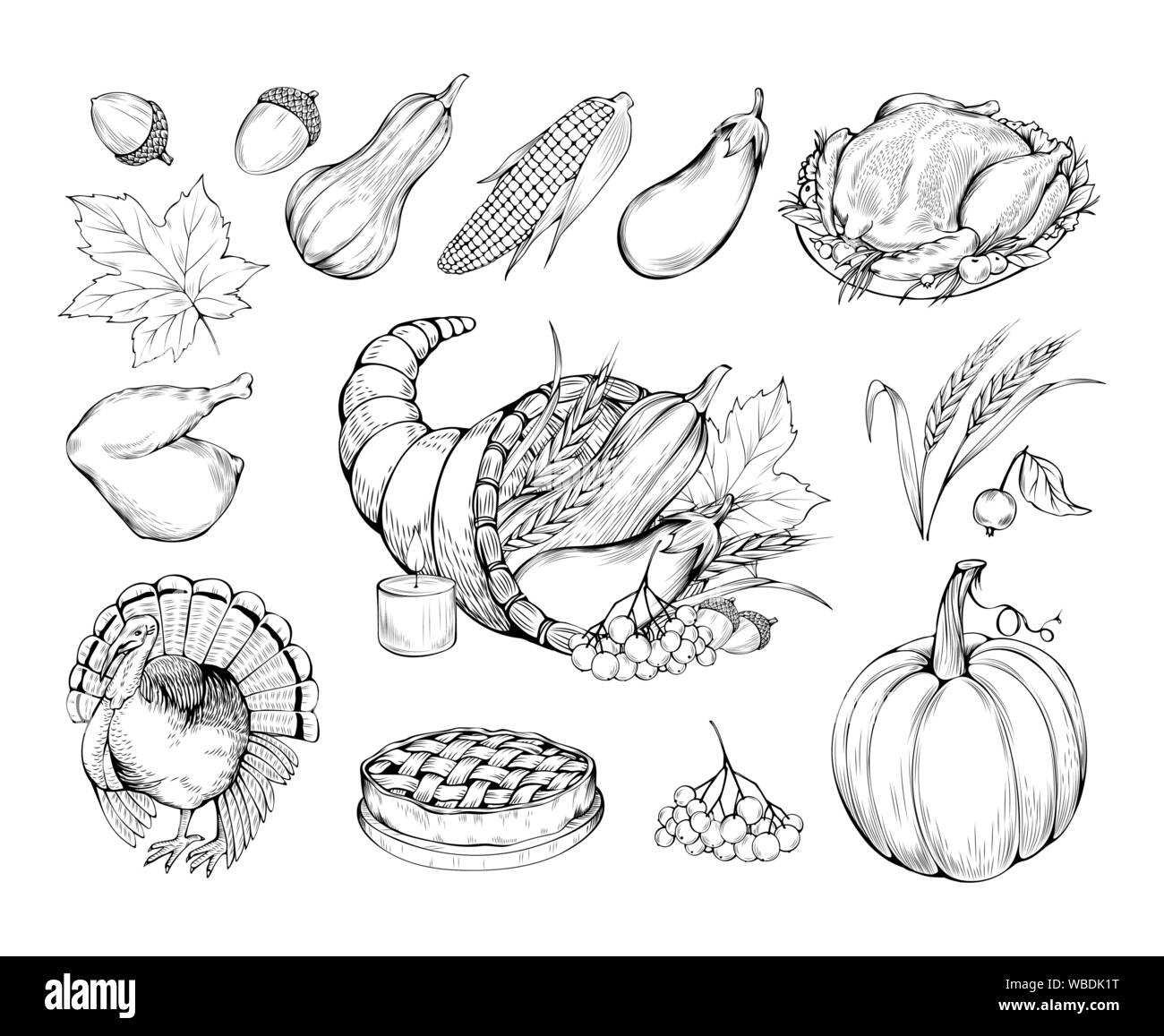Thanksgiving hand drawn vector symbols set. Natural food, vegetables and traditional dishes sketch illustrations. Farmers market. Pumpkin, turkey cooked chicken and pie monochrome drawings pack Stock Vector