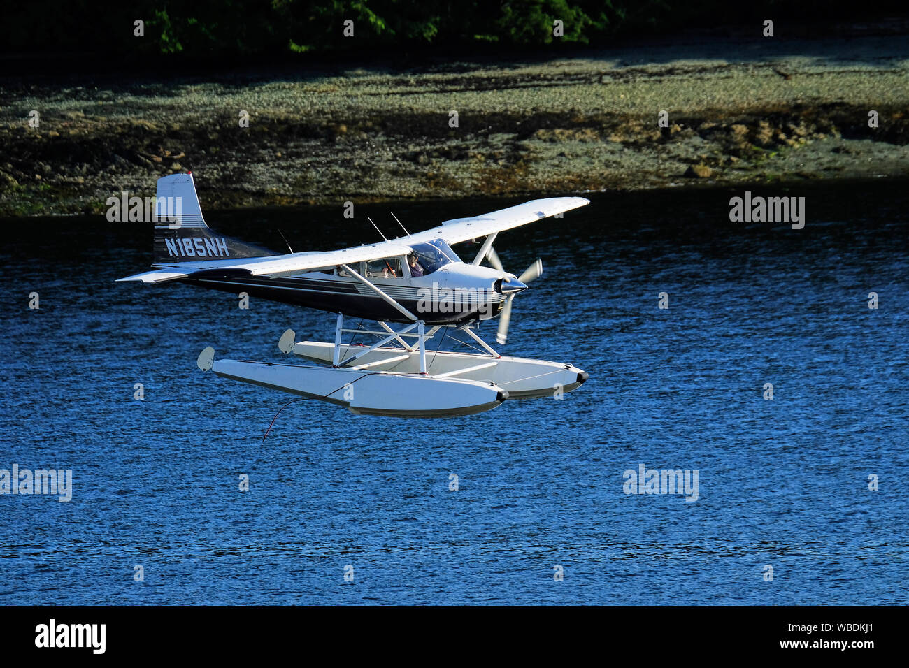 Alaskan Float Plane Landing Stock Photo Alamy