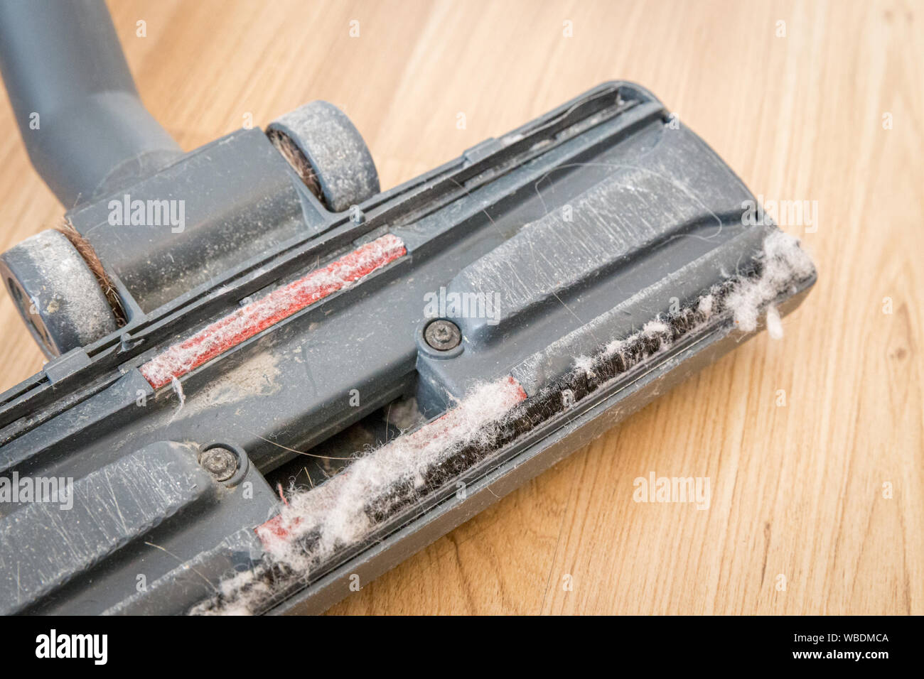 Dirty vacuum cleaner brush. Cleaning concept Stock Photo Alamy