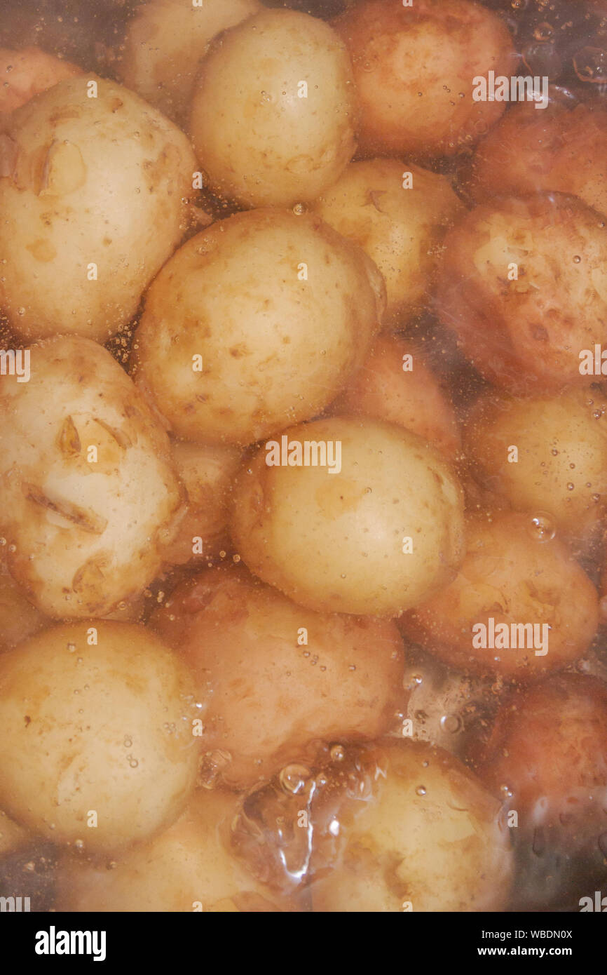 New potatoes boil in their skins in a saucepan Stock Photo Alamy