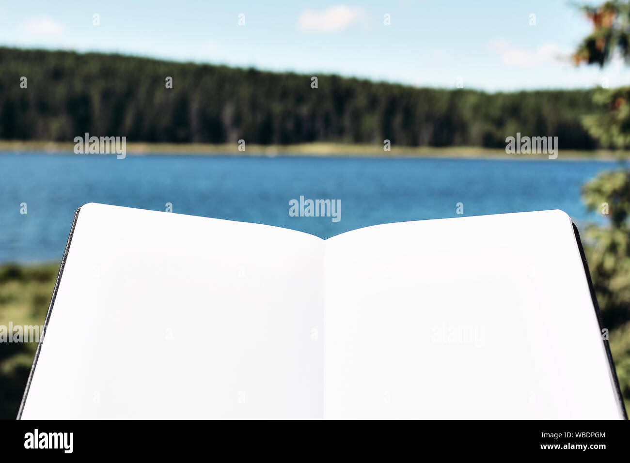 Download Landscape Blank Book High Resolution Stock Photography And Images Alamy
