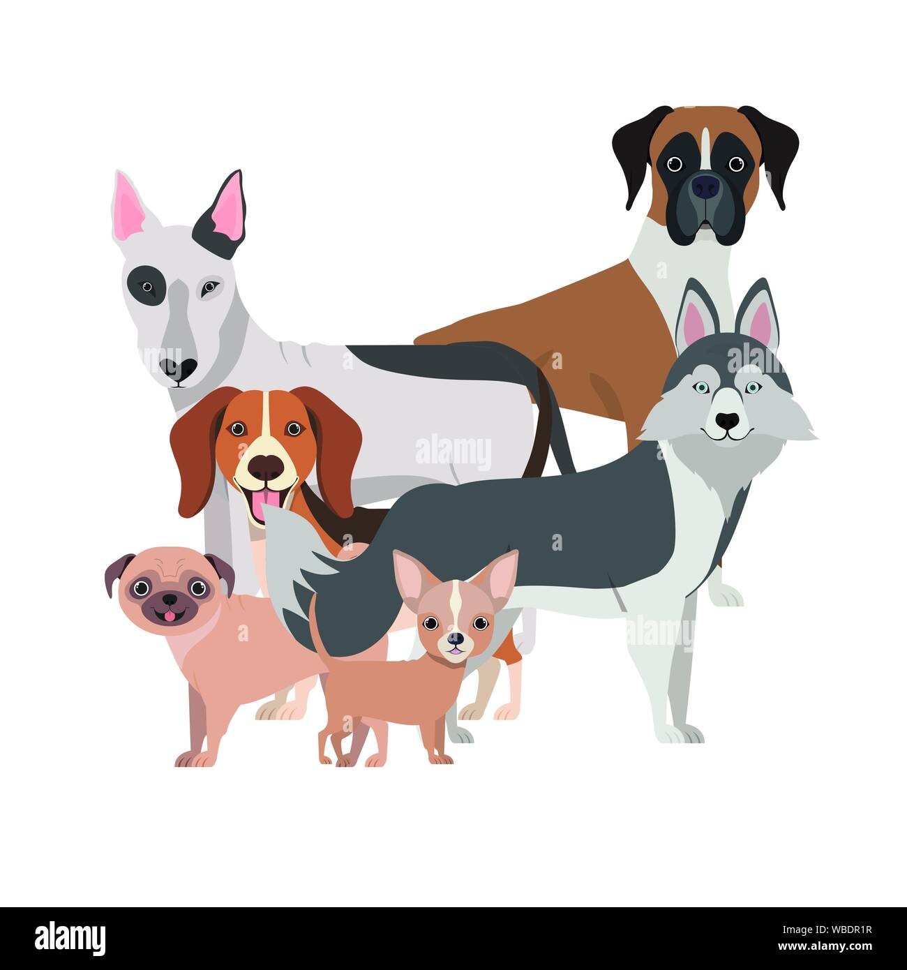 set of adorable dogs on white background Stock Vector Image & Art - Alamy