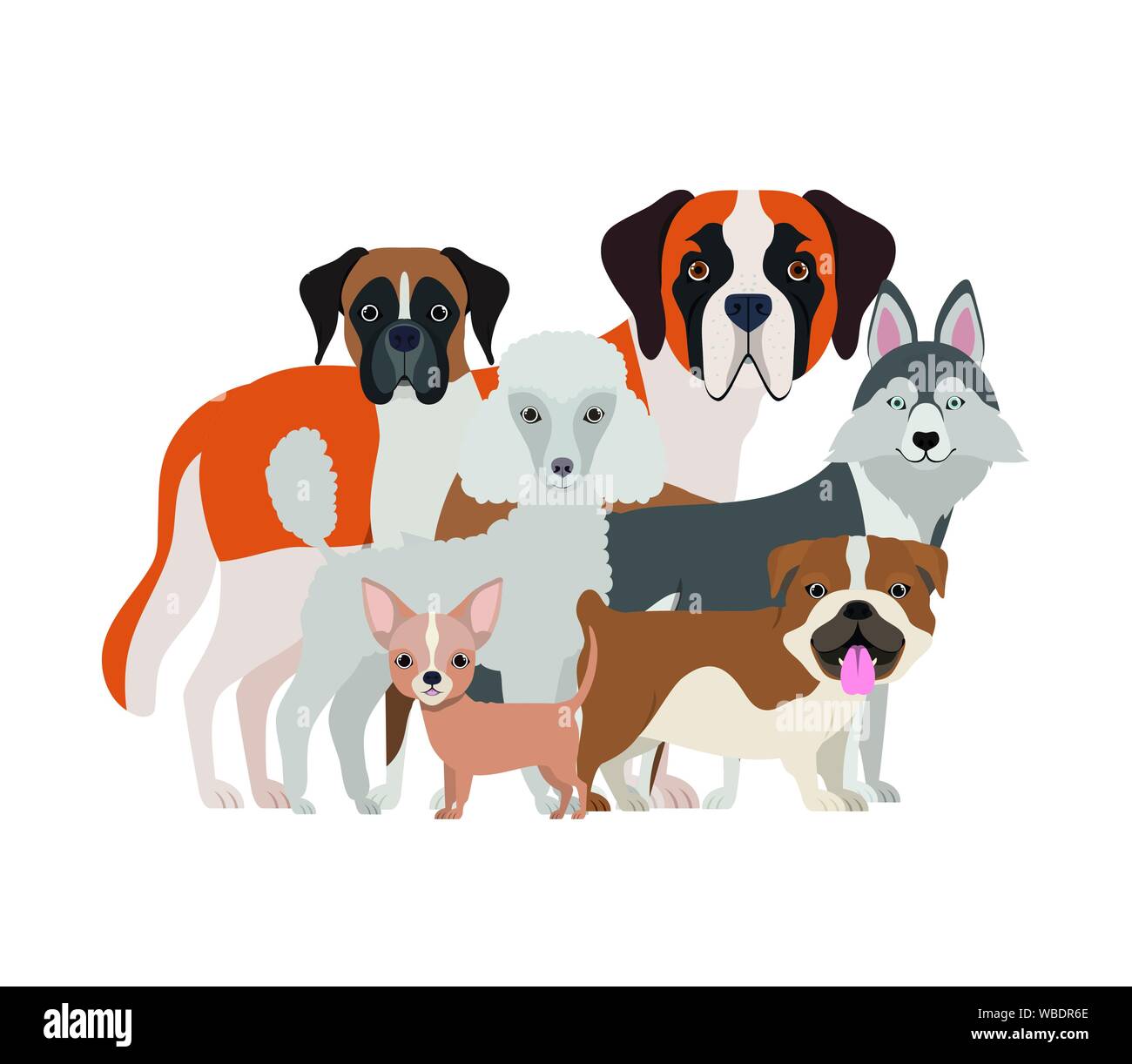 set of adorable dogs on white background Stock Vector Image & Art - Alamy