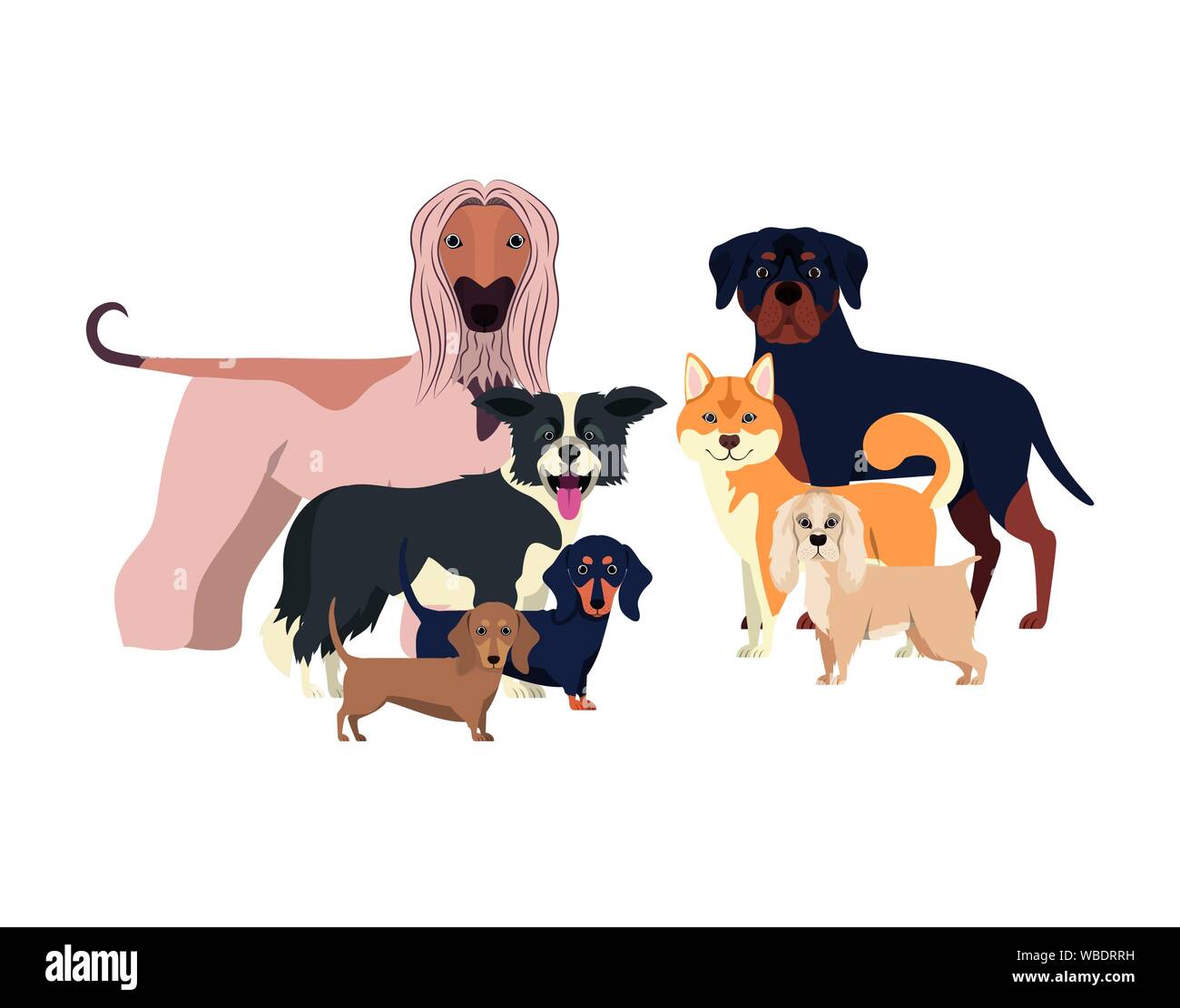 set of adorable dogs on white background Stock Vector Image & Art - Alamy