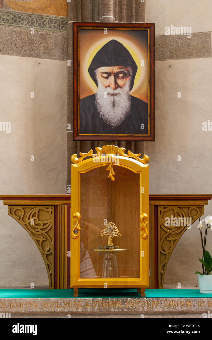 The relics of the Lebanese Saint Charbel displayed for veneration in the Cathedral of St Elisabeth (Dom Svatej Alzbety Stock Photo - Alamy The relics of the Lebanese Saint Charbel displayed for veneration in the Cathedral of St Elisabeth (Dom Svatej Alzbety Stock Photo - Alamy